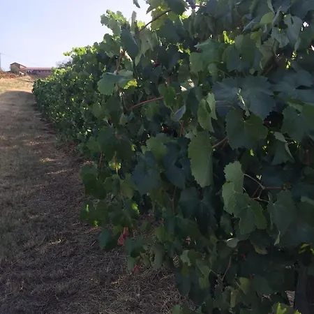 Maranello Moca Πανδοχείο Il Poggio