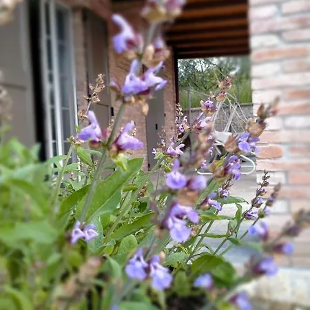 Maranello Moca אורחן Il Poggio