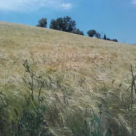 Maranello Moca אורחן Il Poggio