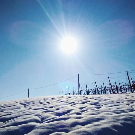 אורחן Maranello Moca *