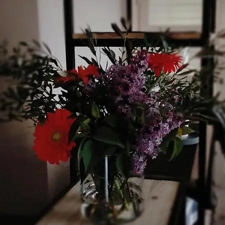 Maranello Moca אורחן *