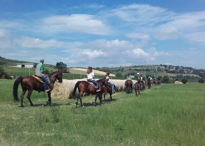 Gasthof Maranello Moca *