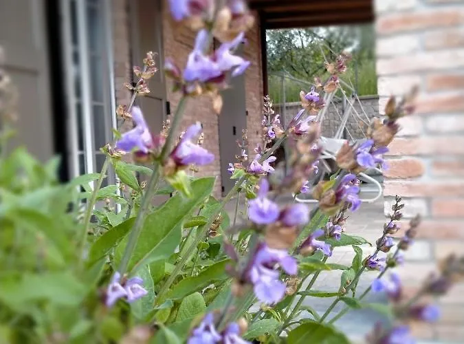 Maranello Moca Estalagem Il Poggio