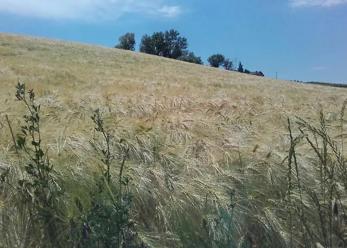 Maranello Moca Gasthof Il Poggio