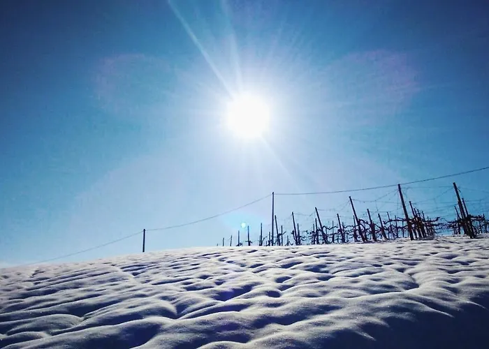 Estalagem Maranello Moca *