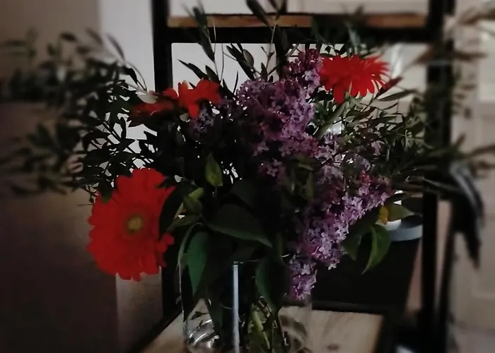 Maranello Moca Estalagem *